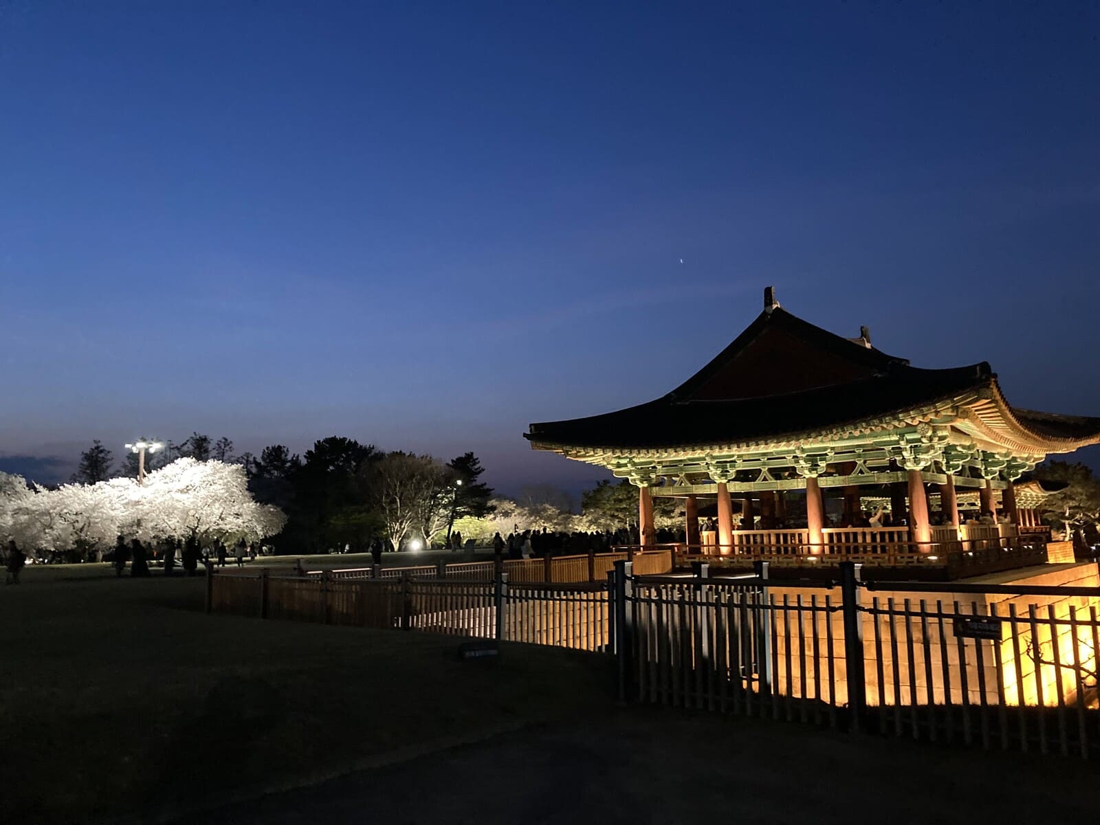 Gyeongju night