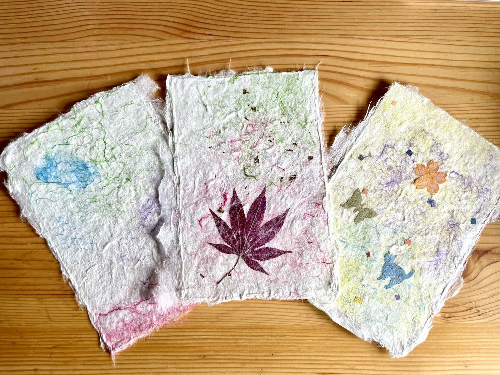 Fukui Paper2