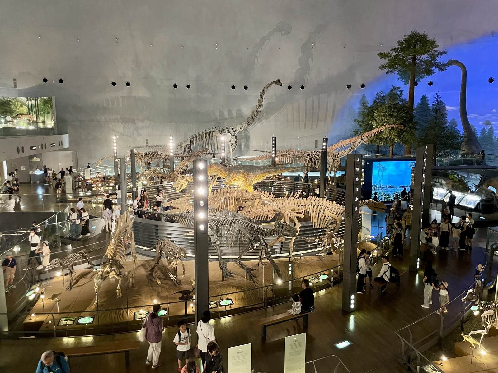 museum 1