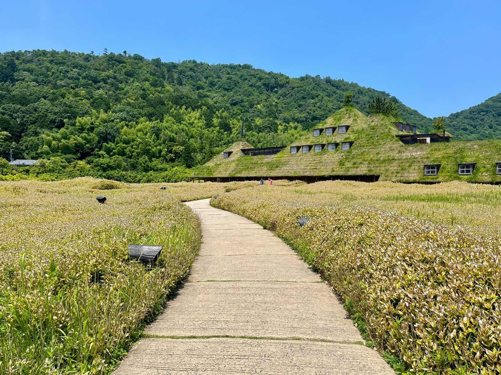 滋賀県琵琶湖
