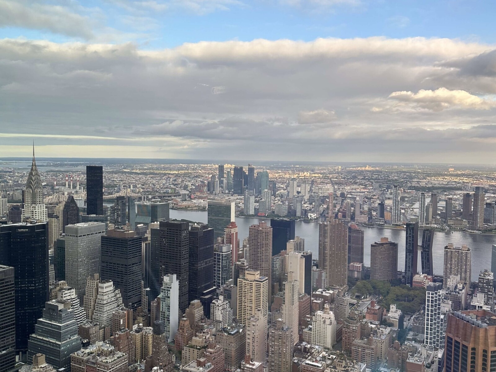NY
