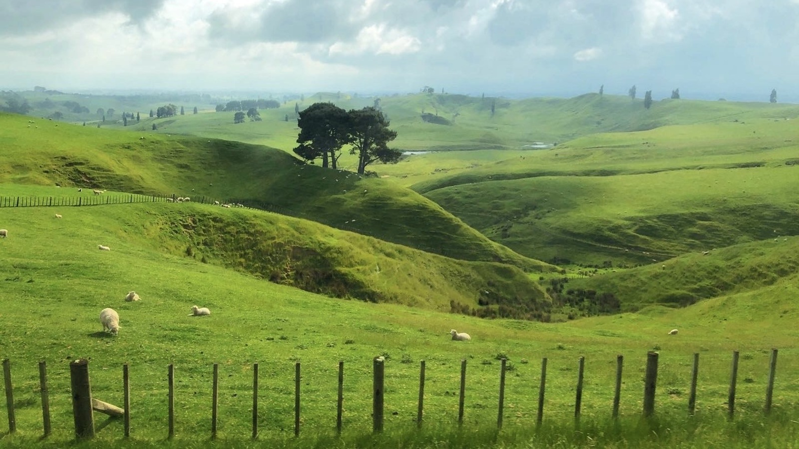 NZ_seep