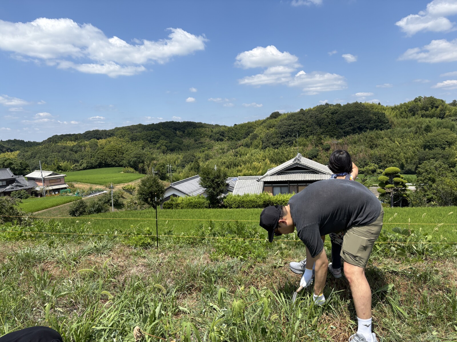 magatama_field