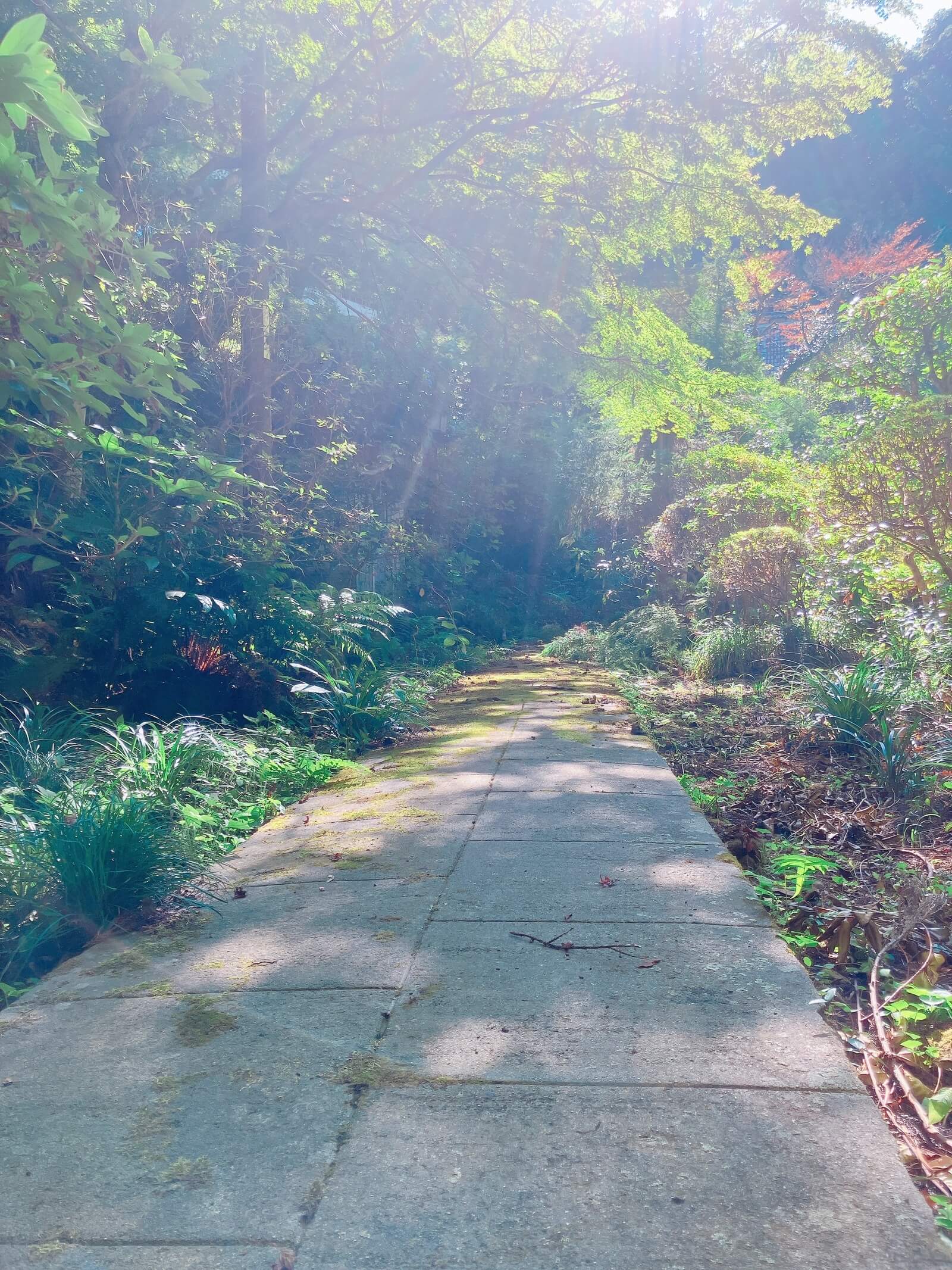 山道