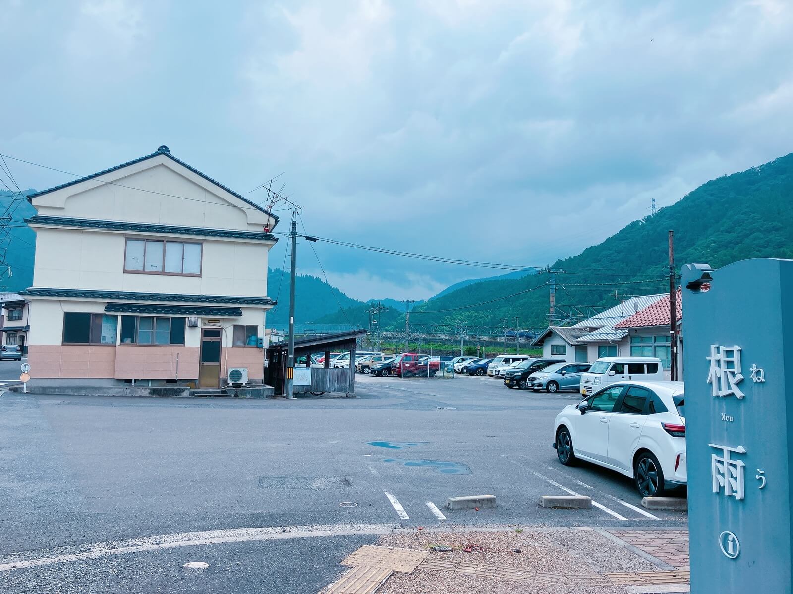 根雨