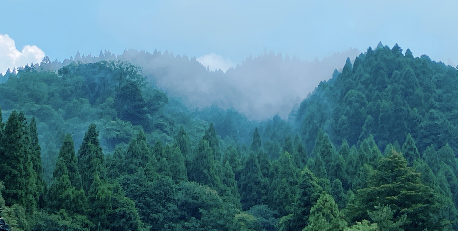 山