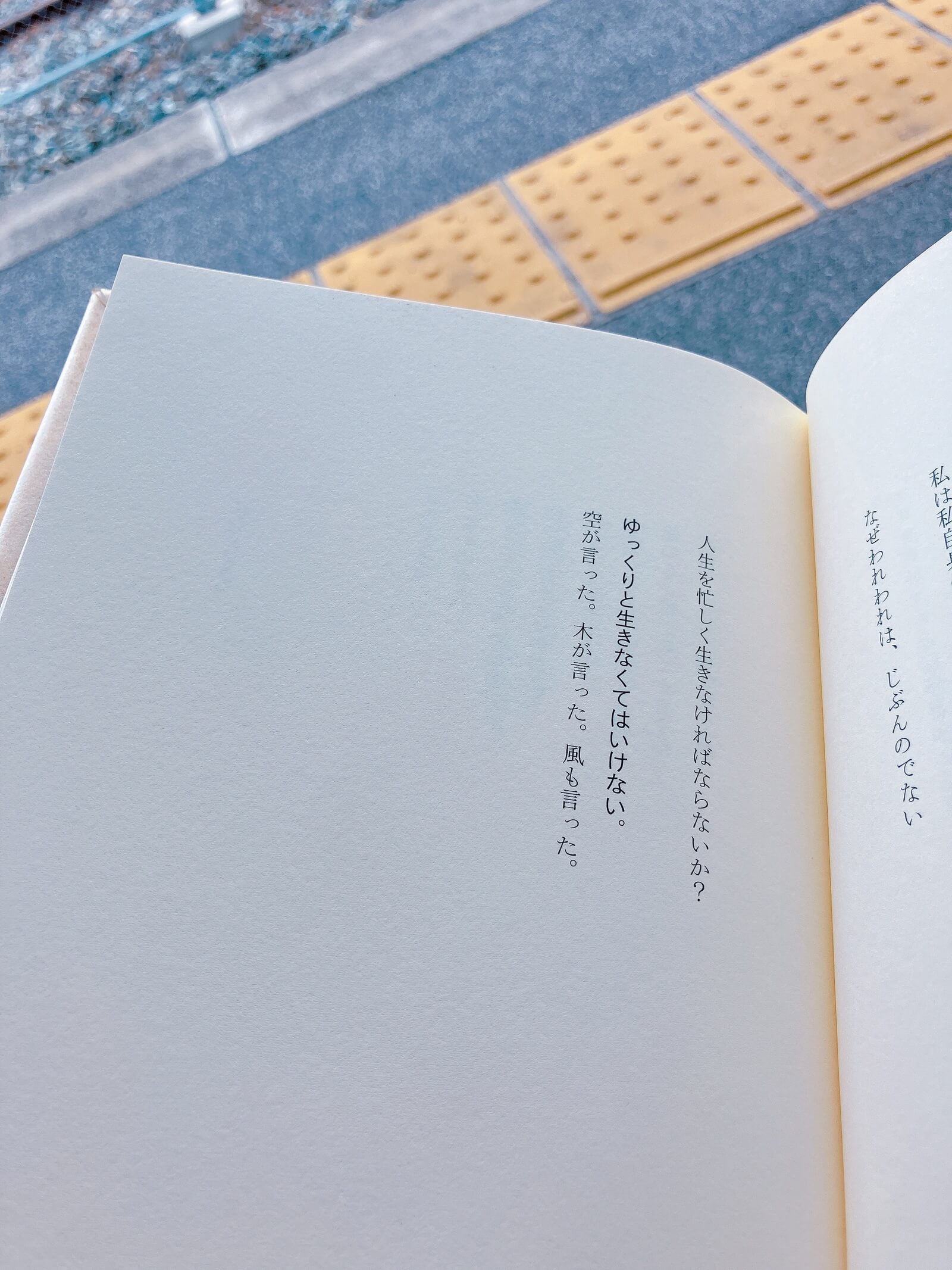 詩の本