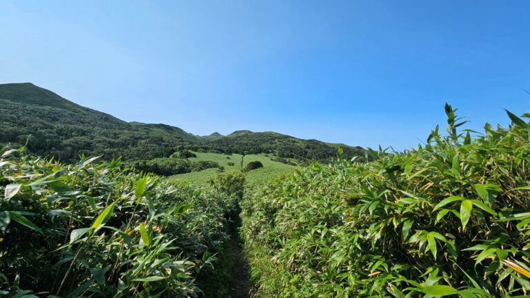 礼文島8時間コース