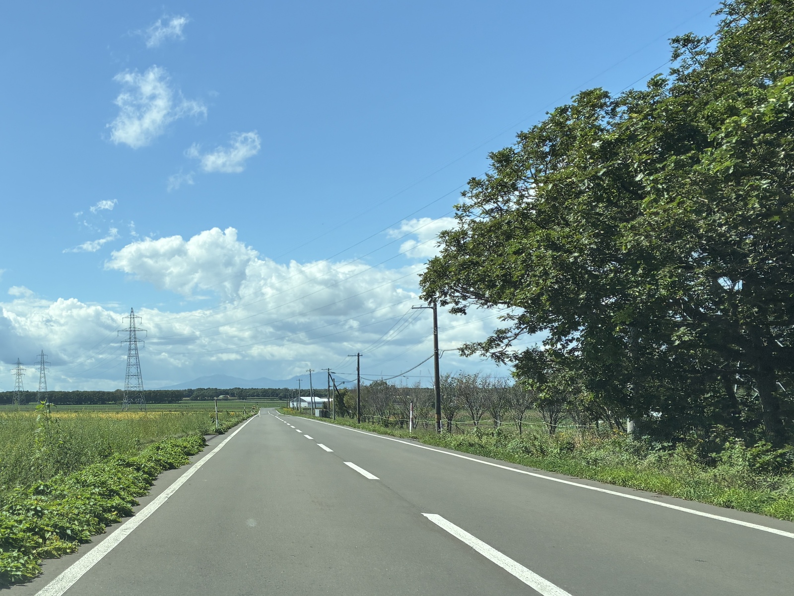 道