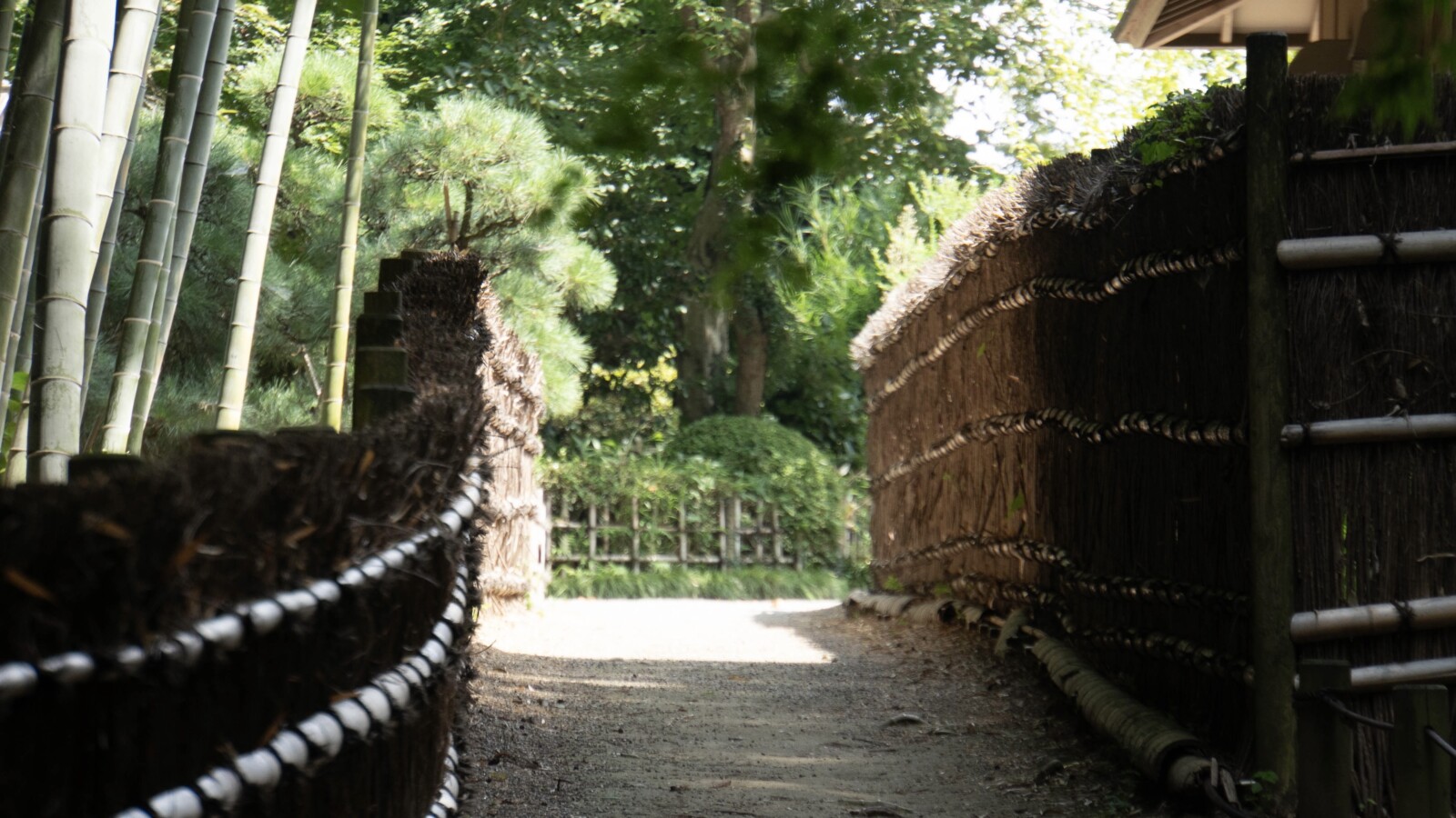 竹林エリア