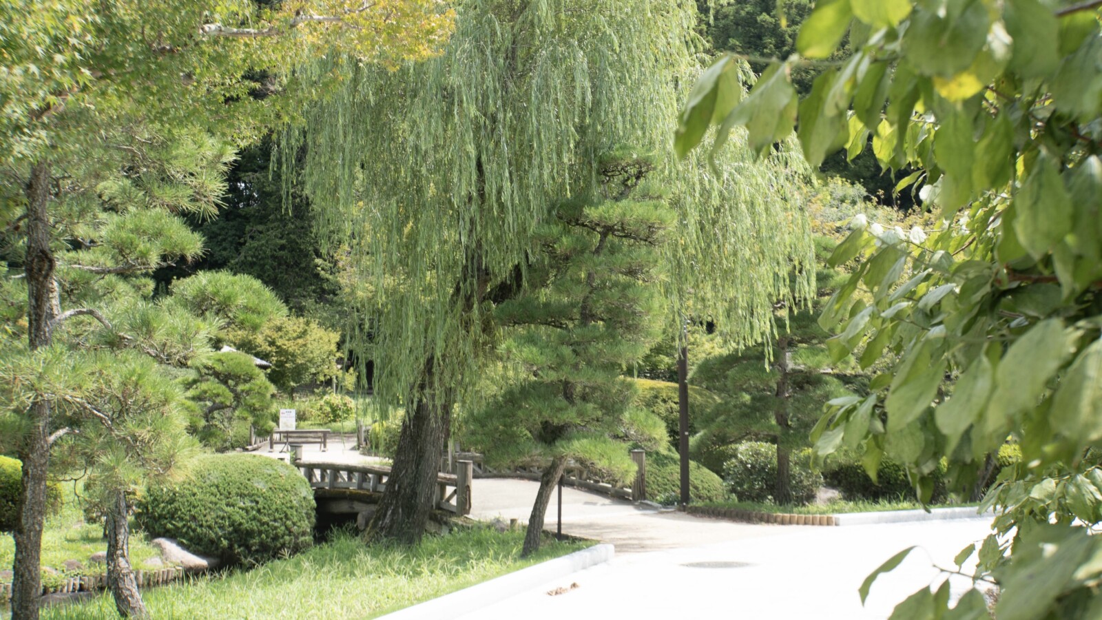 庭園エリア