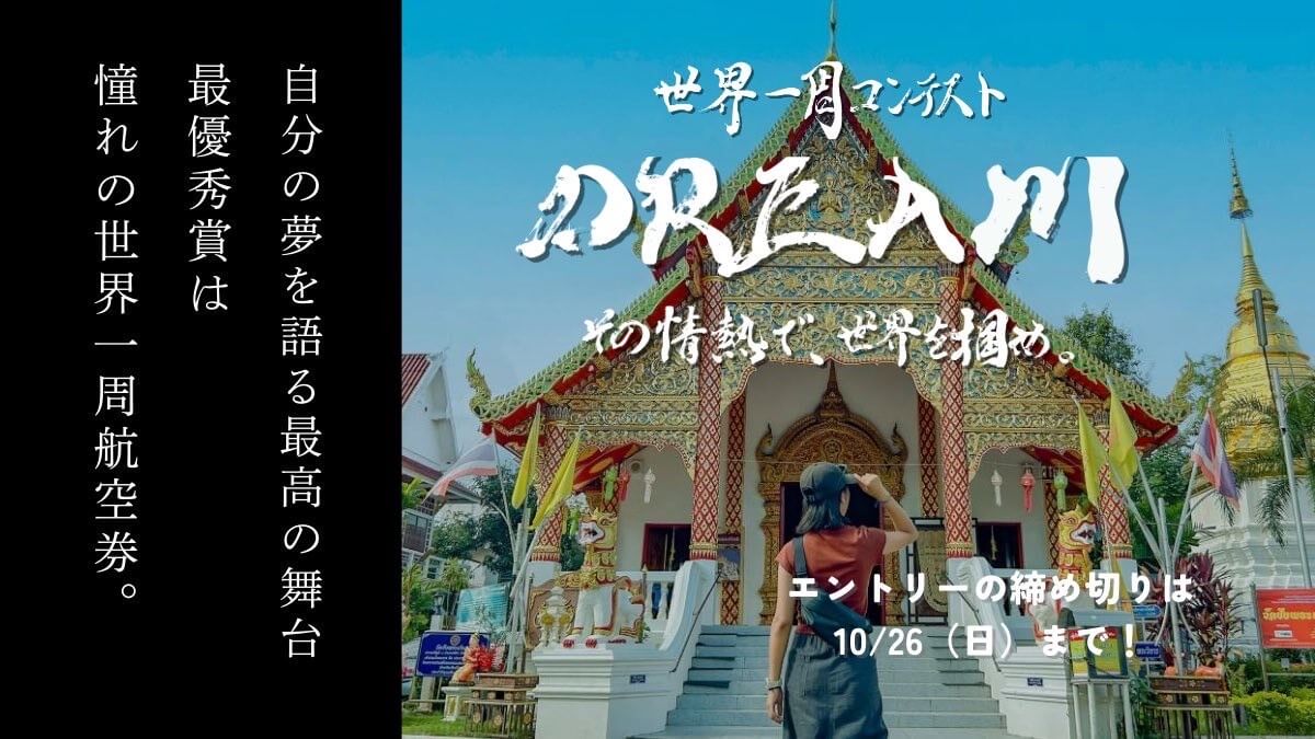 tabippo-dream