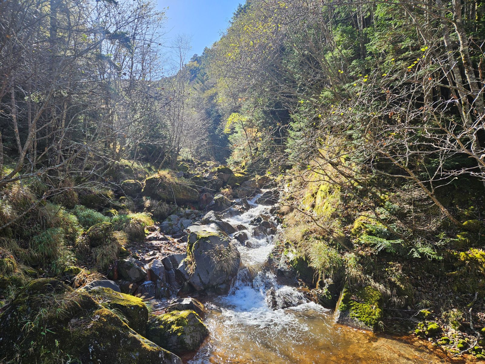 八ヶ岳　美濃戸口　北沢　川