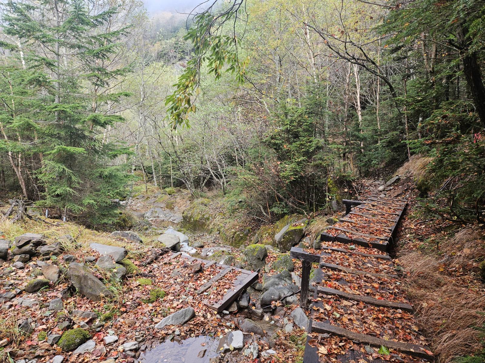 美濃戸口　北沢　八ヶ岳