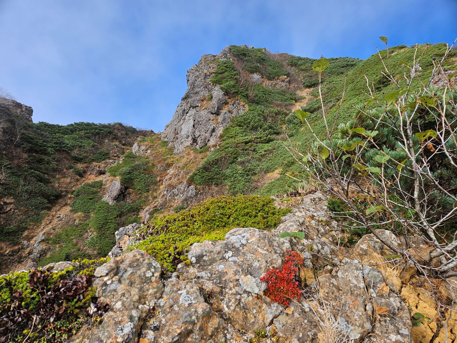 硫黄岳　紅葉　八ヶ岳