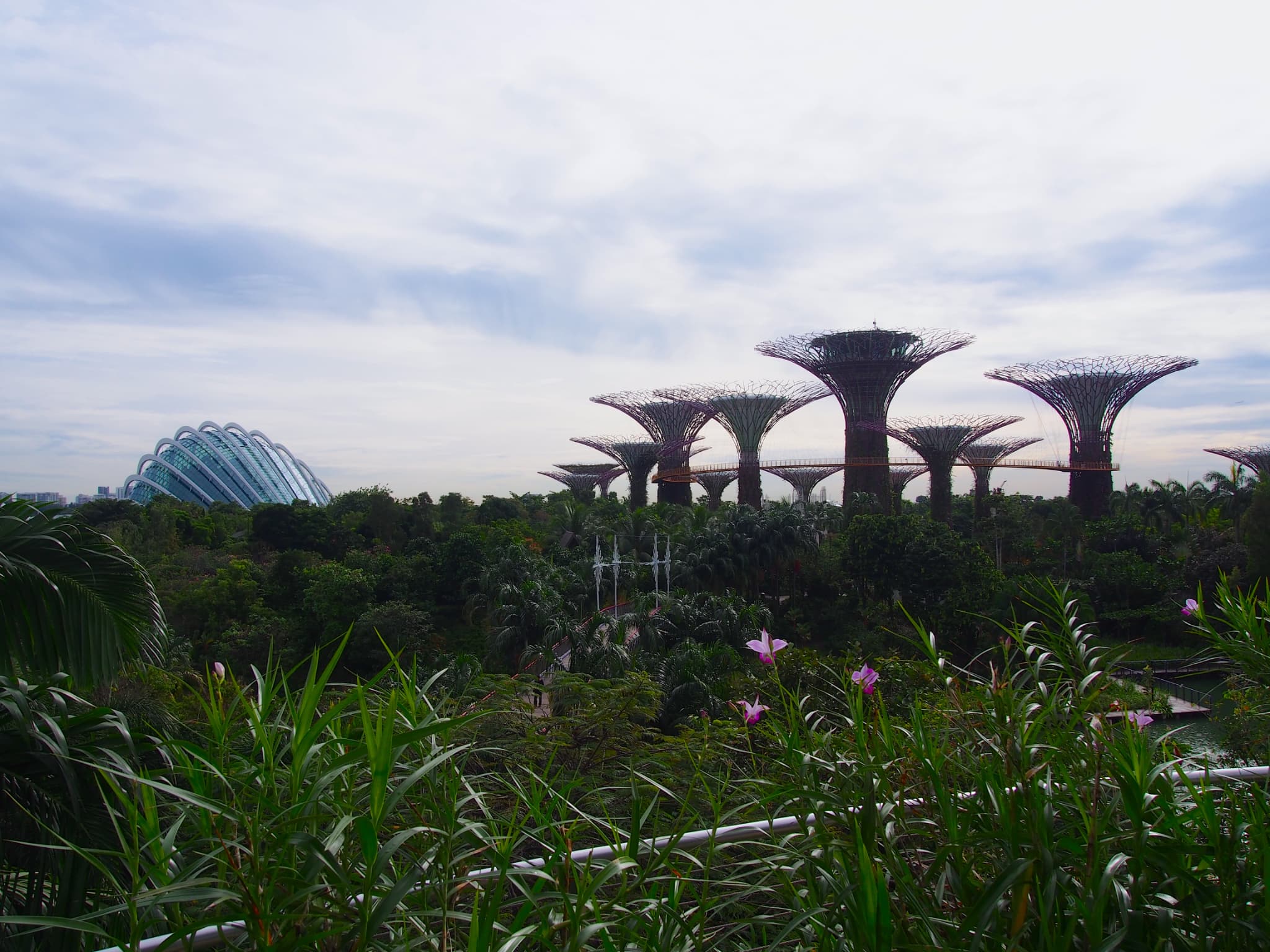 シンガポール_ガーデンバイザベイ