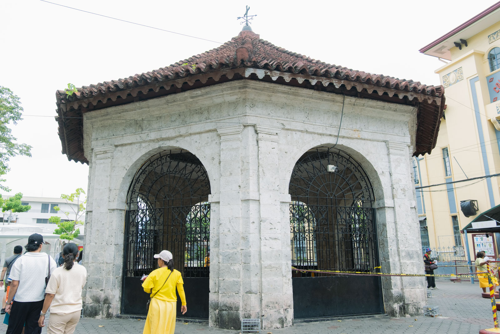 マゼランクロス