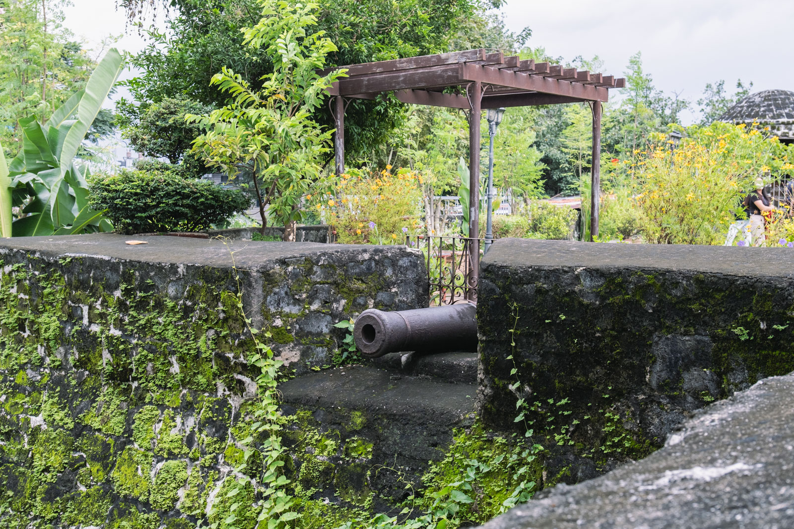 サンペドロ要塞の大砲