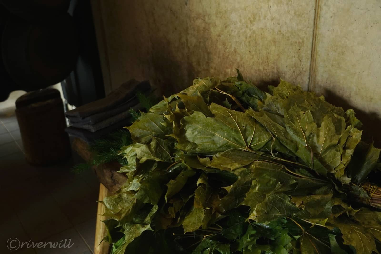 ピルツの葉っぱ(ラトビア)