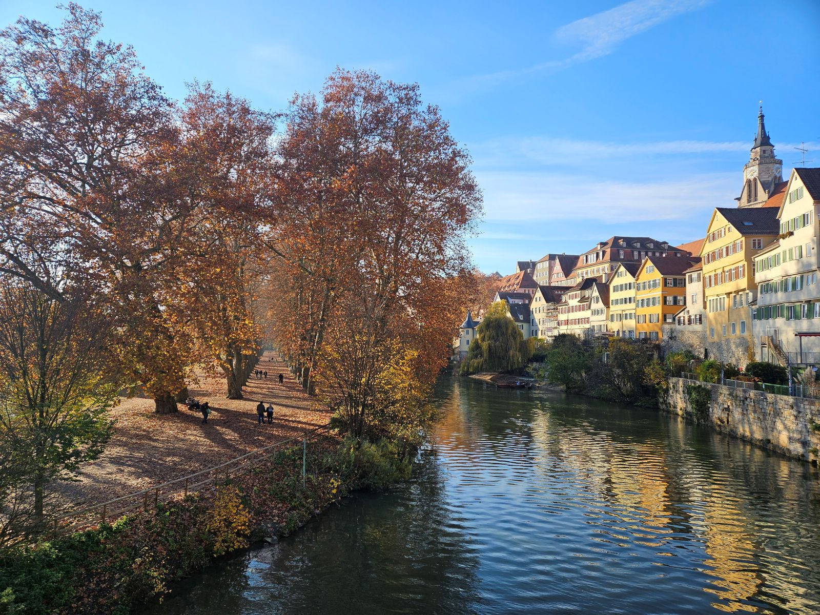 ドイツ　チュービンゲン　プラタナス並木