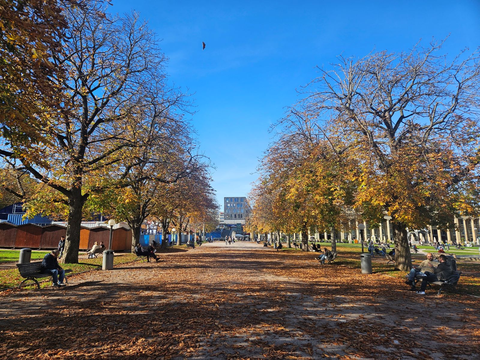 ドイツ　シュツットガルト　シュロスプラッツ　街路樹