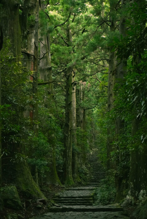 熊野古道
