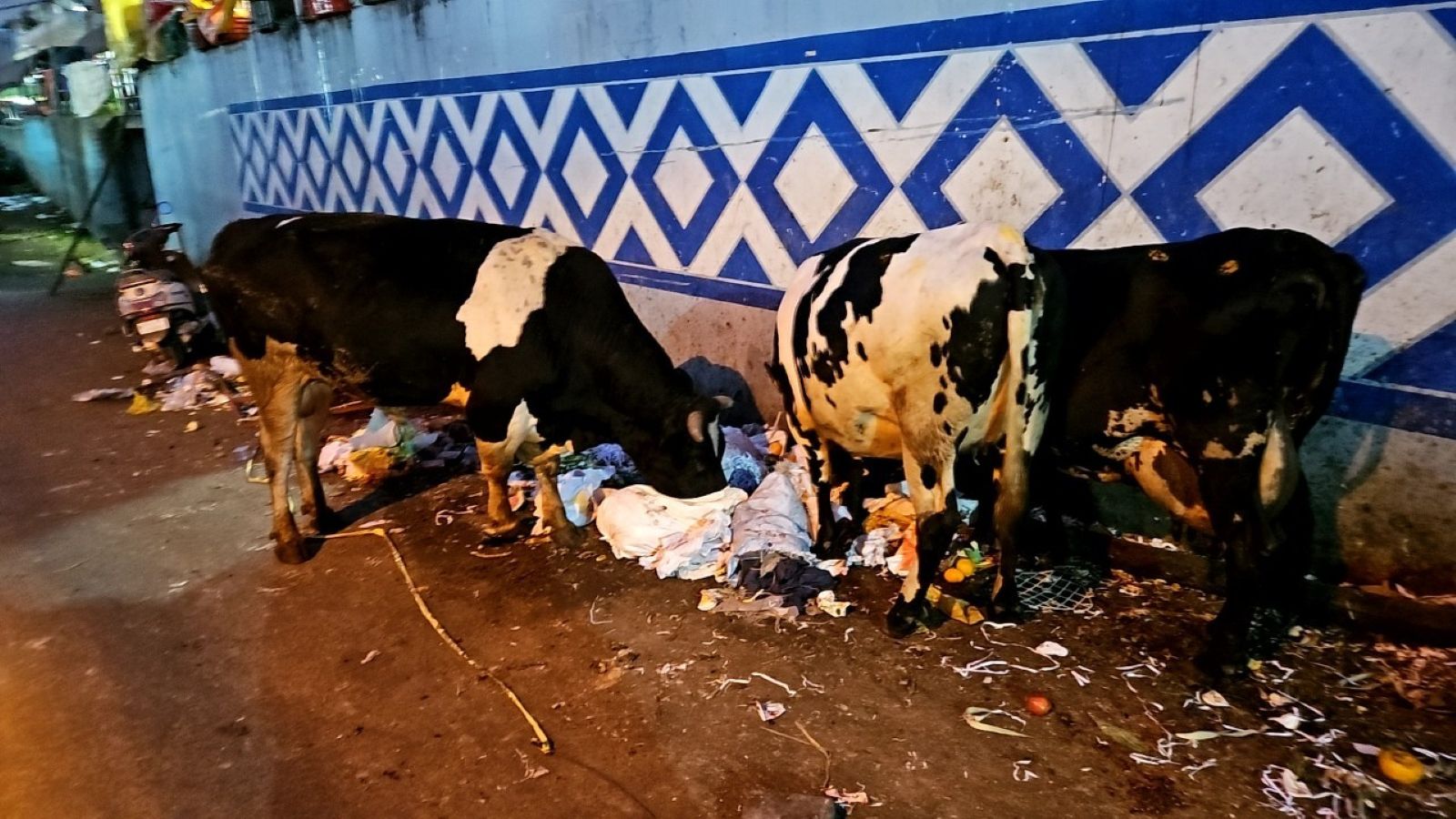 牛　インド　ベンガルール　KRマーケット