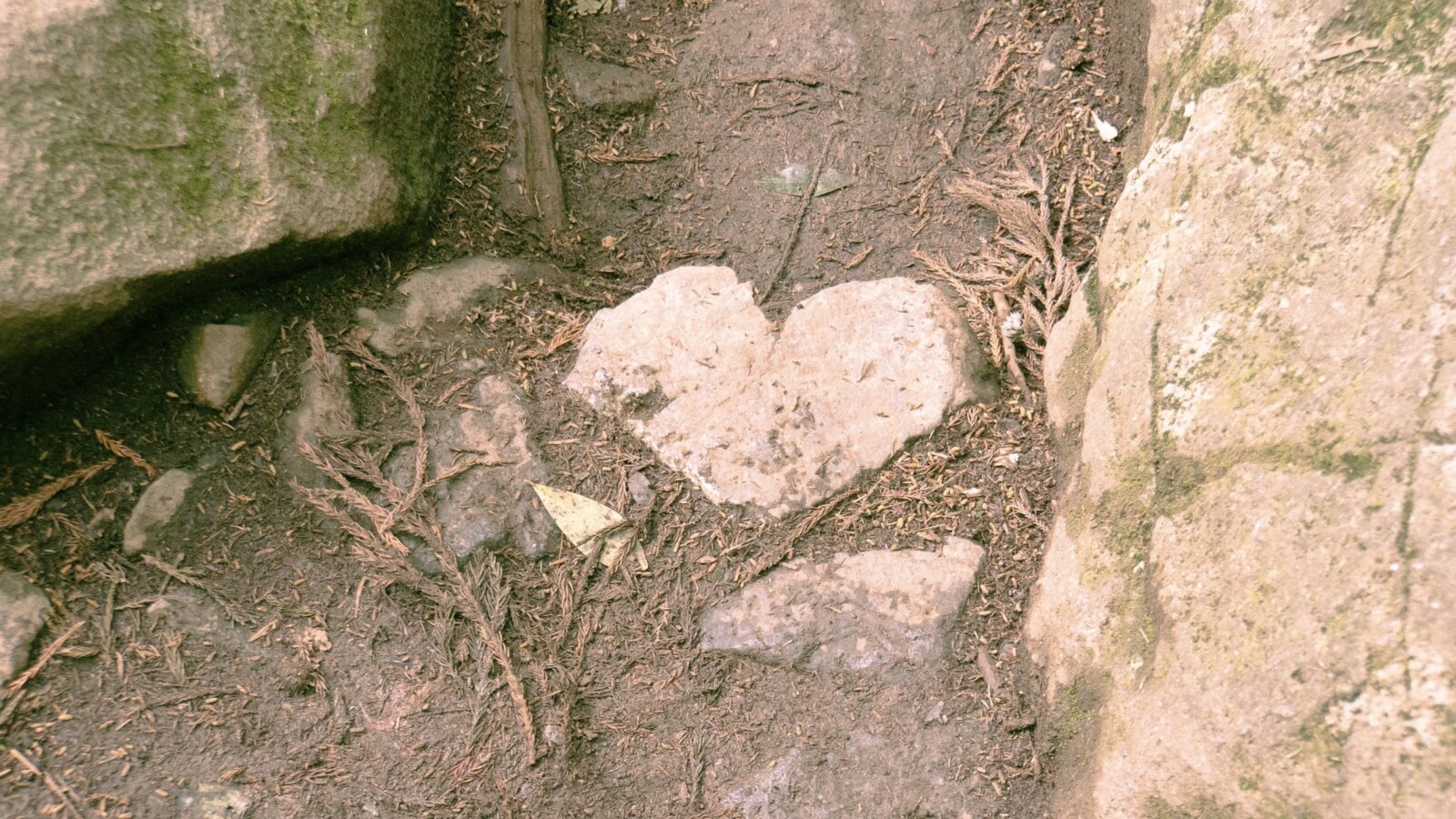 ハート岩アイキャッチ