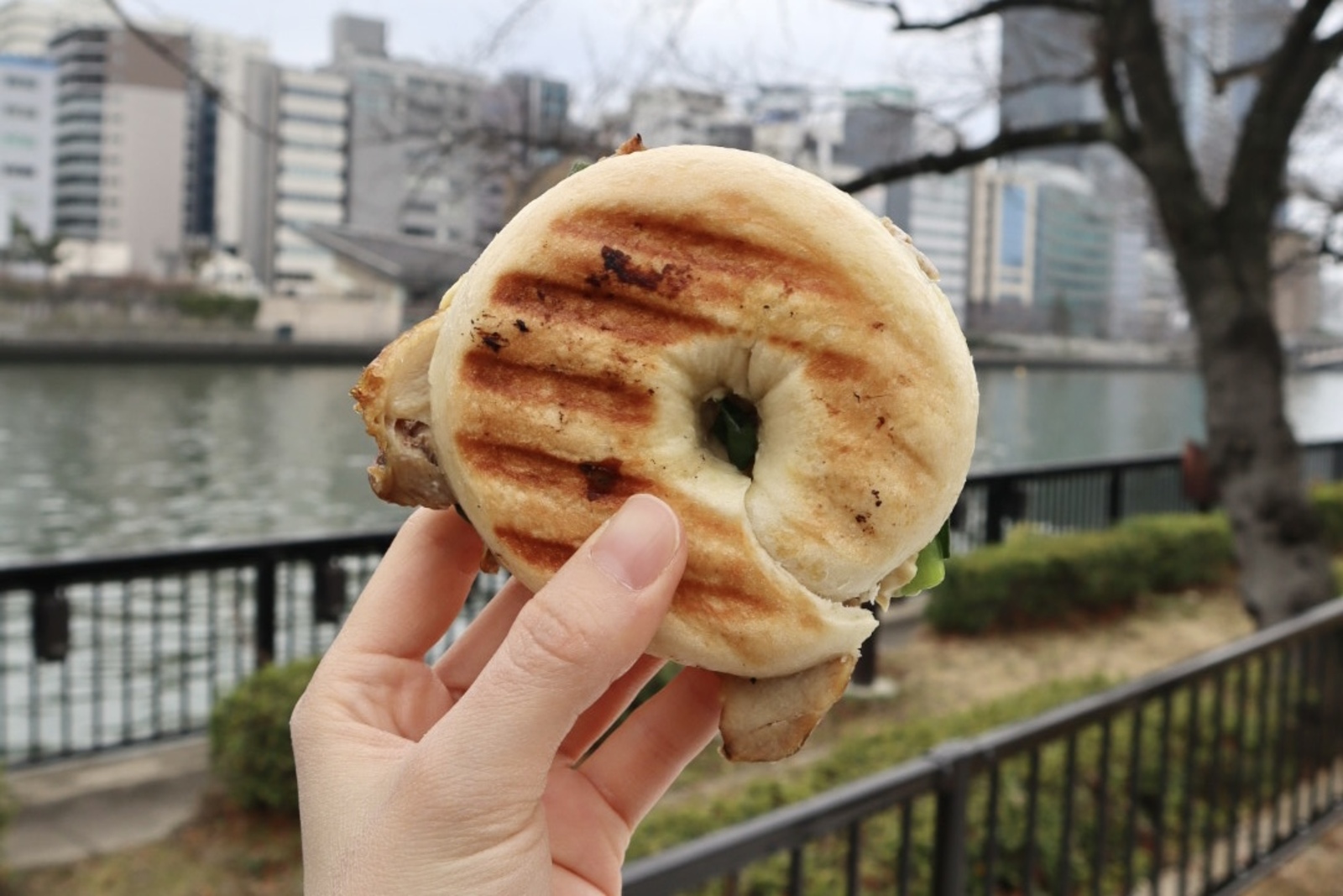 ベーグルのパニーニ
