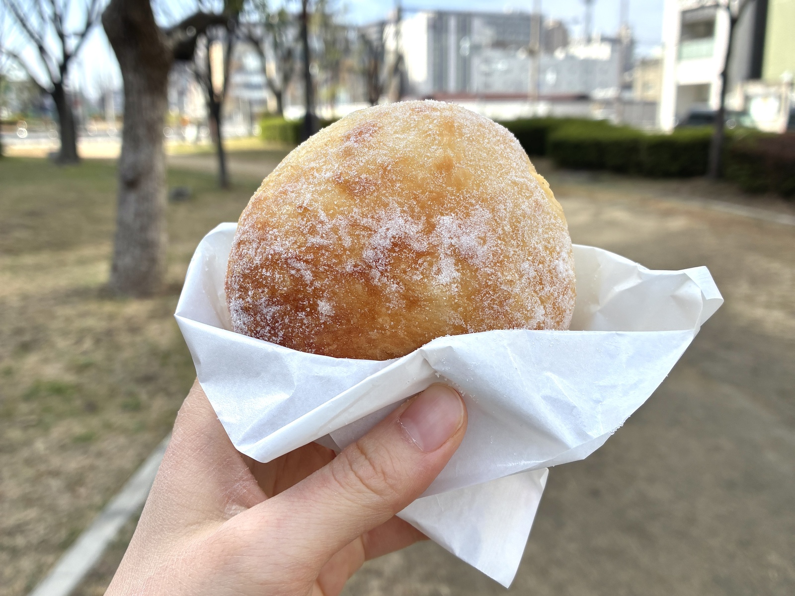 ベーグルドーナツ