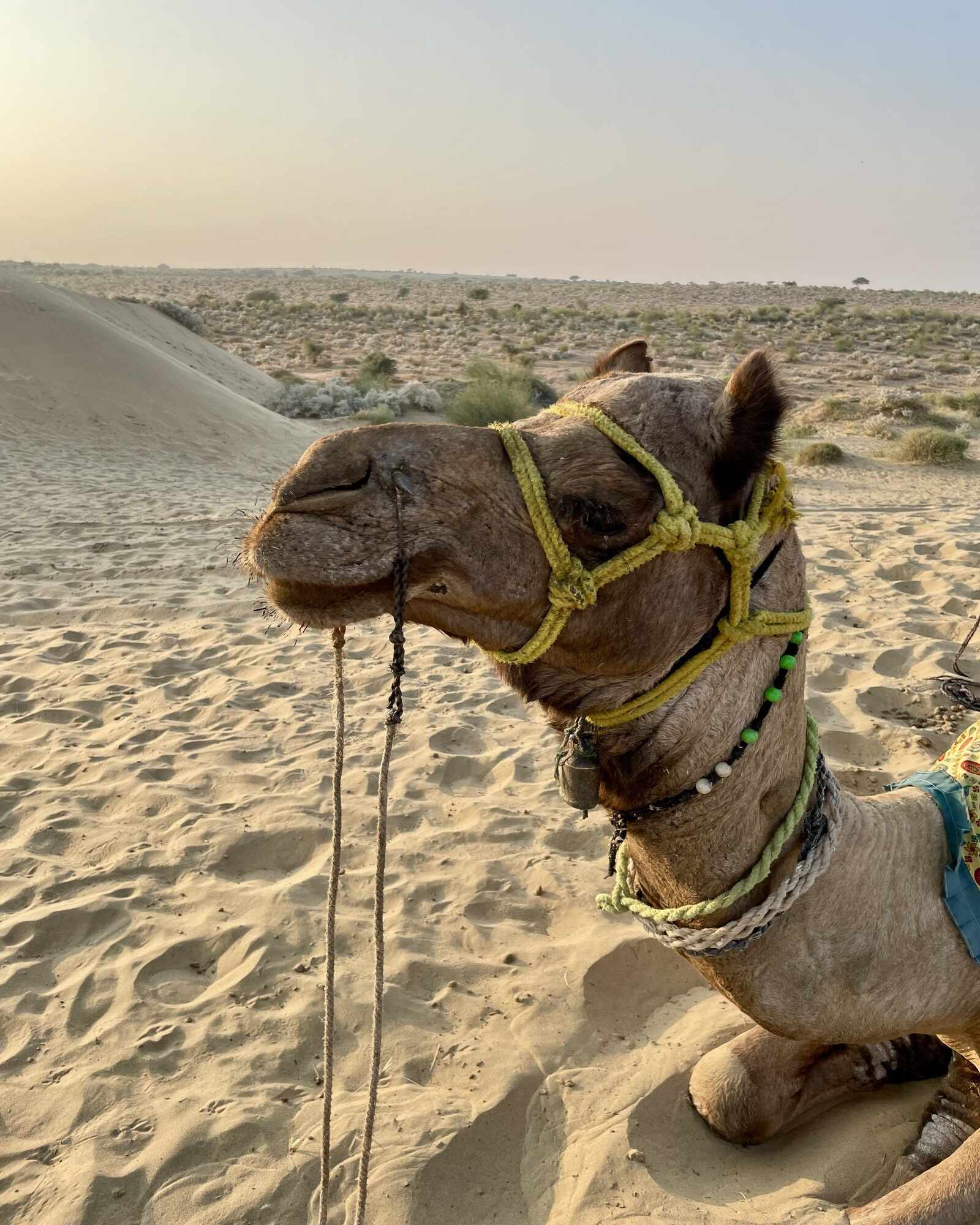 jaisalmer 5