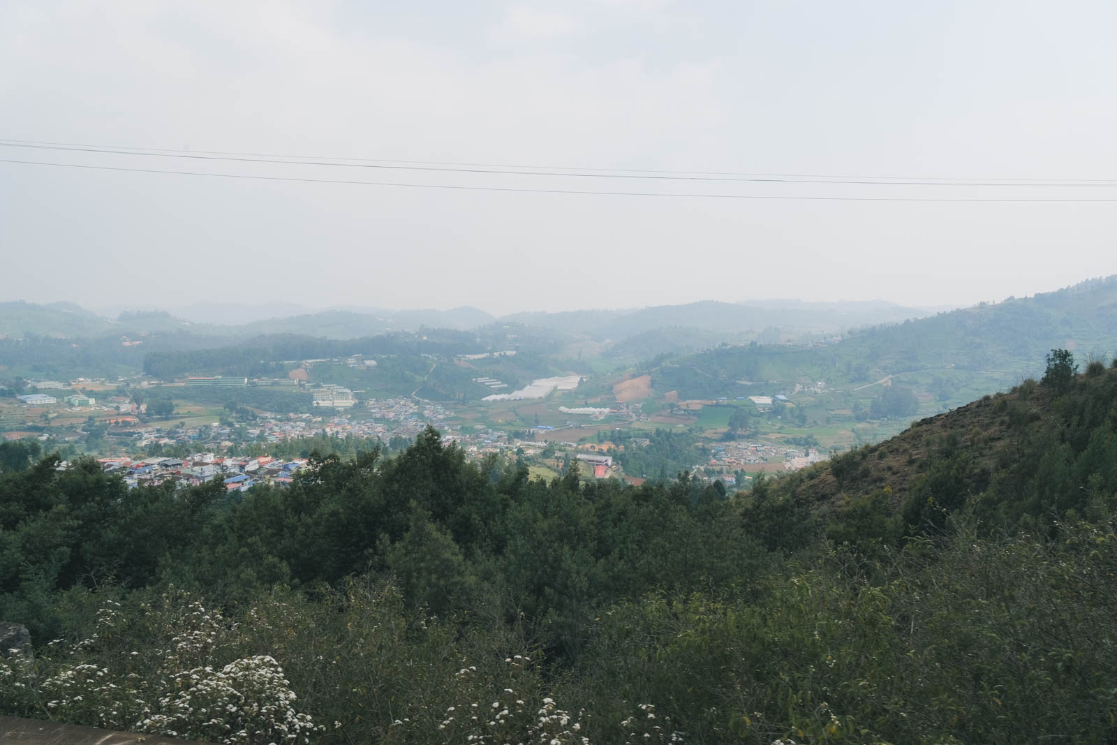 ニルギリ鉄道の山