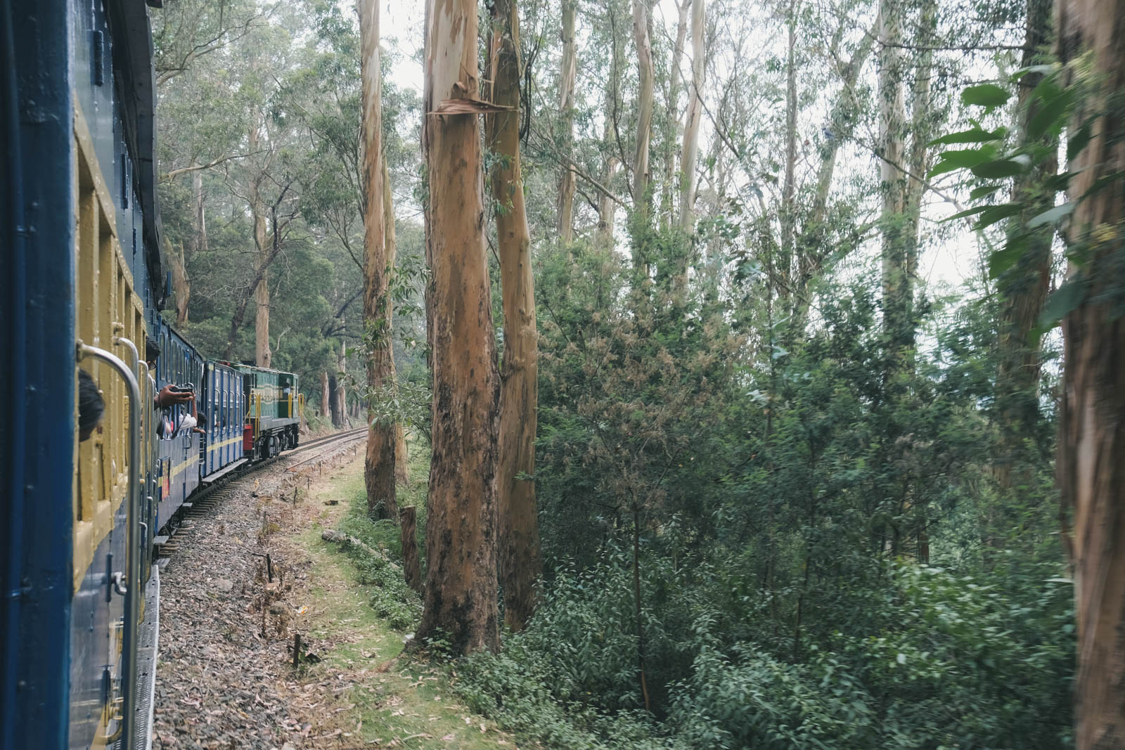 ニルギリ鉄道の車窓から
