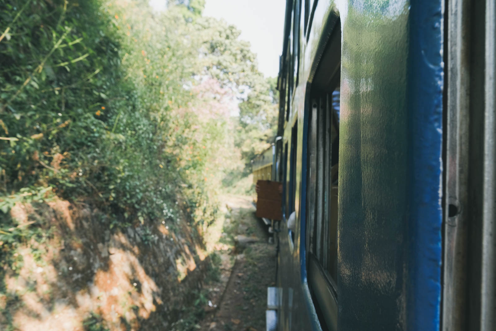 ニルギリ鉄道の車窓から