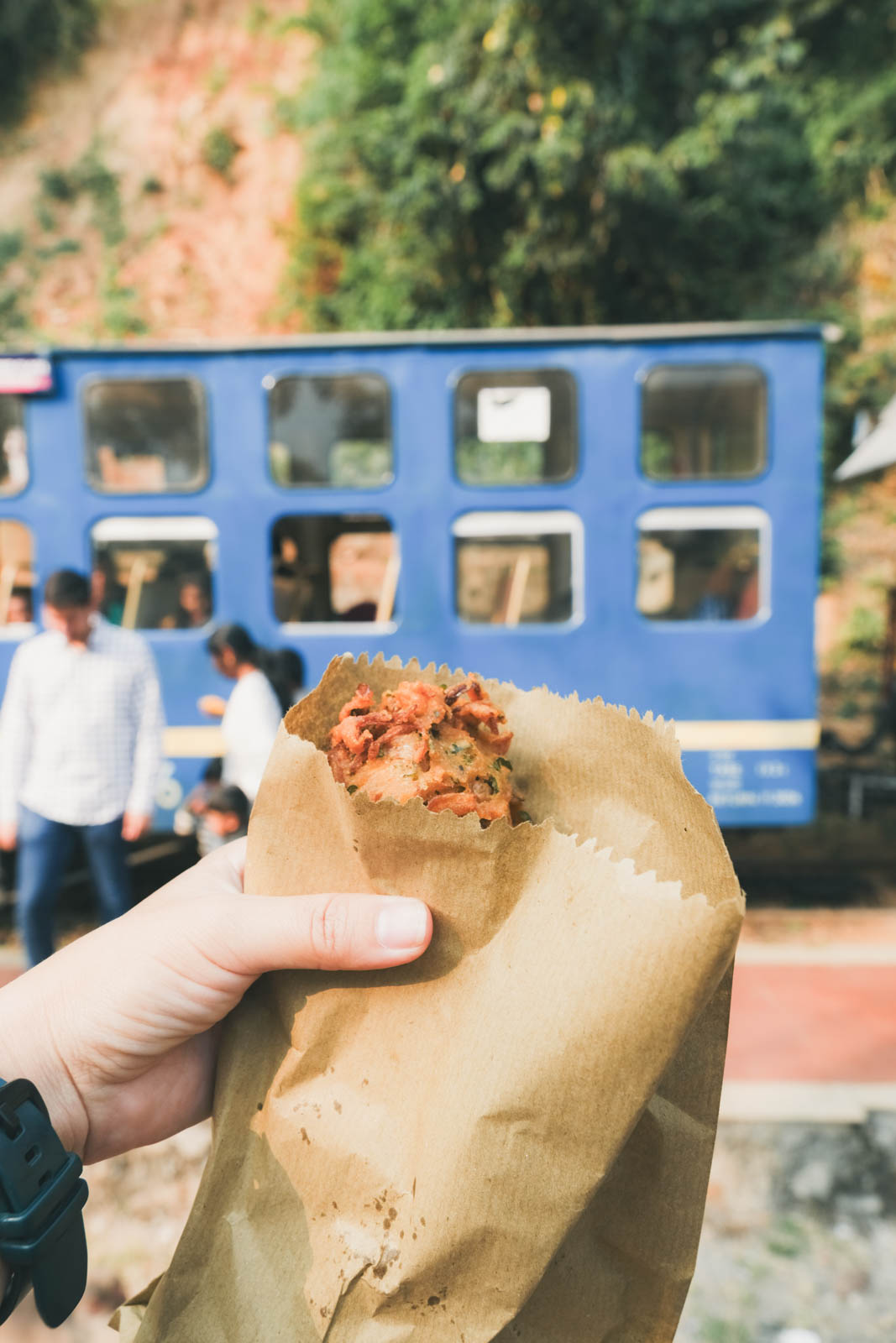 ニルギリ鉄道で食べたサモサ