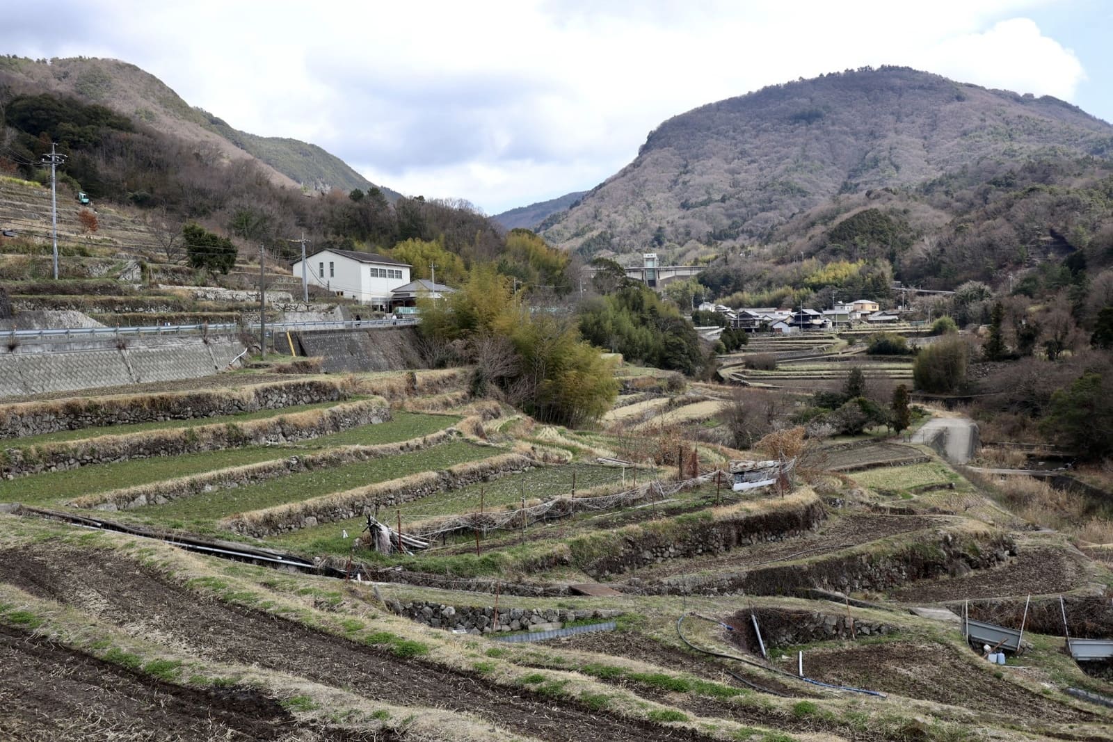中山千枚田