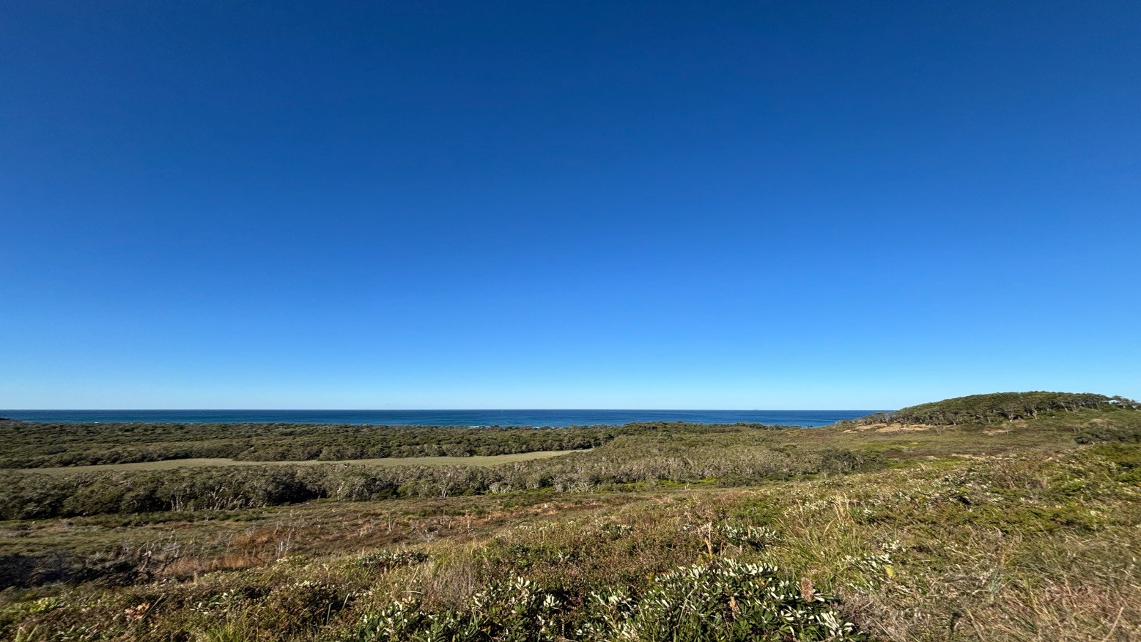 aussea