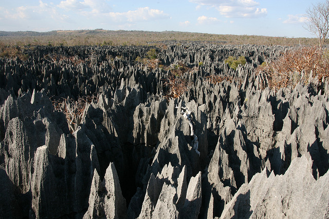 ツィンギー・デ・ベマラハ厳正自然保護区　マダカスカル　世界遺産