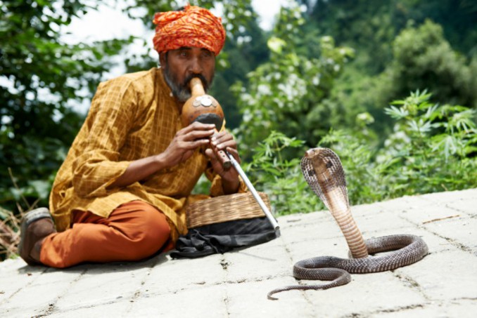 インド