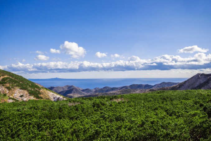北海道の地の果てに残る世界遺産「知床」 | TABIPPO.NET