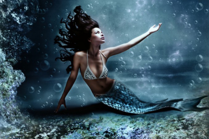 人魚姫Mermaid 人魚姫 mermaid | MIHO NAKAYAMA OFFICIAL