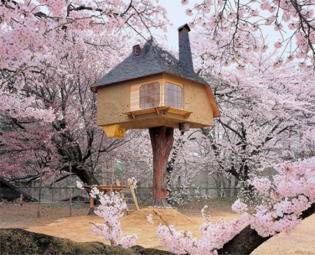 日本にある宿泊できるツリーハウス23選 Tabippo Net